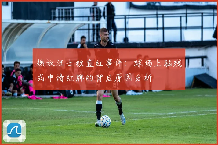 热议汪士钦直红事件：球场上脑残式申请红牌的背后原因分析