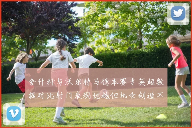 舍什科与沃尔特马德本赛季英超数据对比射门表现优越但机会创造不足