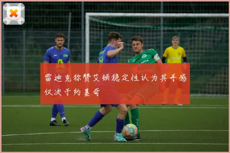 雷迪克称赞艾顿稳定性认为其手感仅次于约基奇