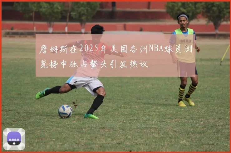 詹姆斯在2025年美国各州NBA球员浏览榜中独占鳌头引发热议
